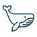 Icon of a whale representing the premium Salt Motoryacht rental in Sydney, 2025.