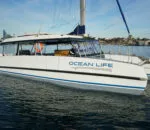 Catamaran named Ocean Life docked in Sydney's harbor under clear skies.