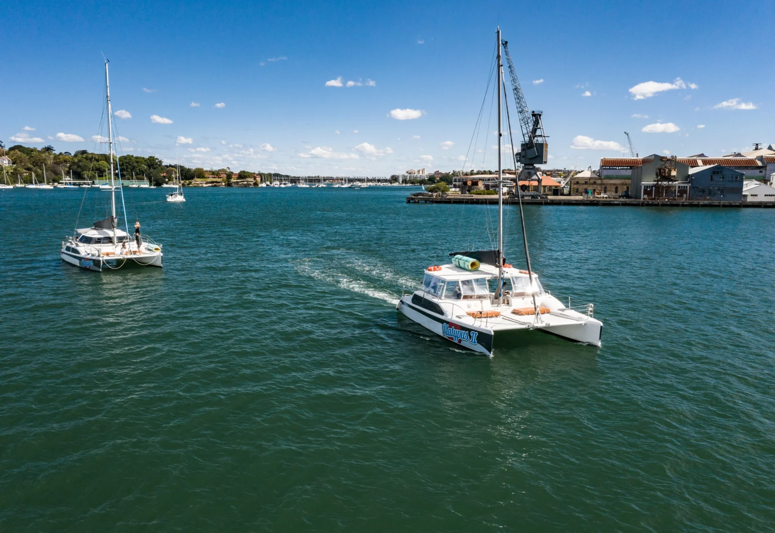 Platypus 2 Catamaran Hire